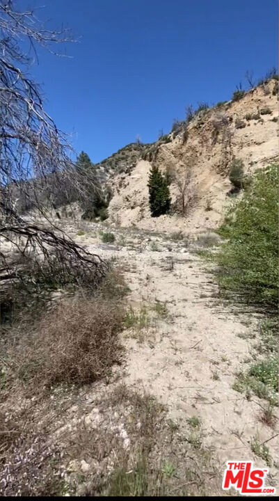 0 Pine Canyon Road