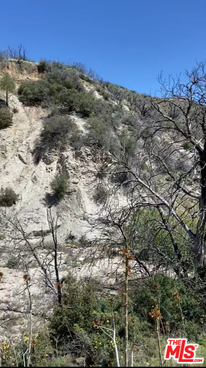0 Pine Canyon Road