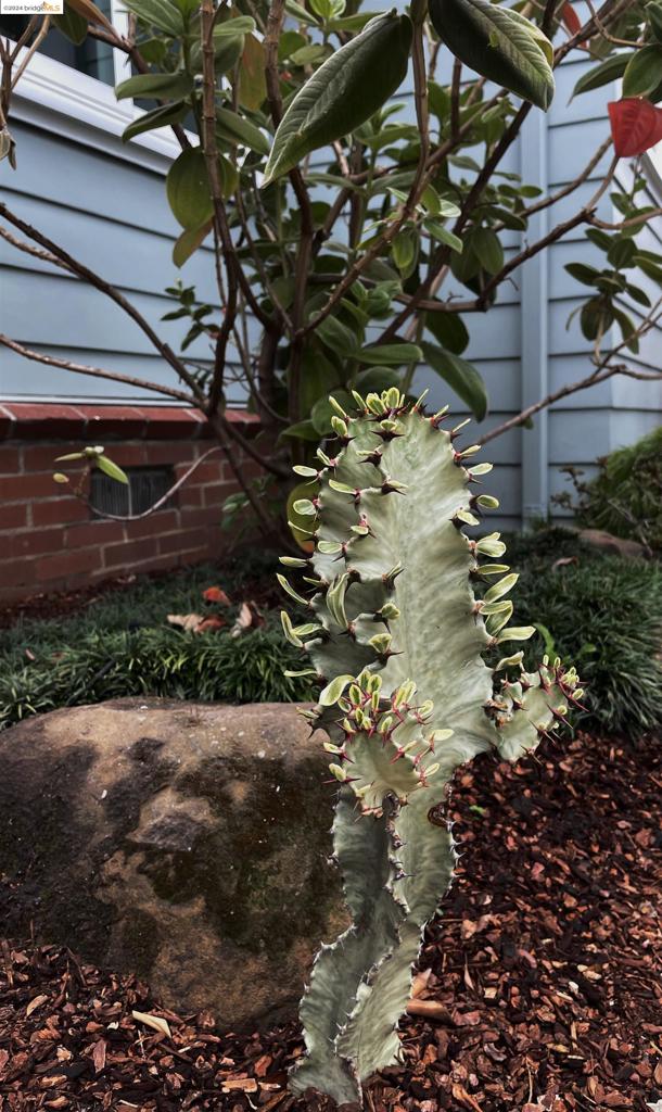 RICHMOND ANNEX - Residential