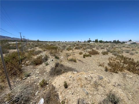 Photo of 0 Joshua Tree Road, Landers, CA 92285 (MLS # IV25160143) Photo of 0 Joshua Tree Road, Landers, CA 92285 (MLS # IV25160143)