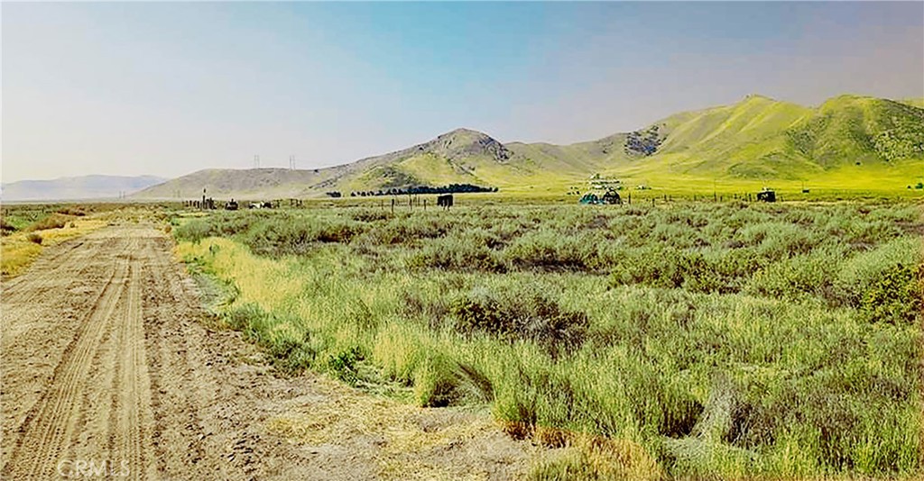 16440 Copenhagen Road