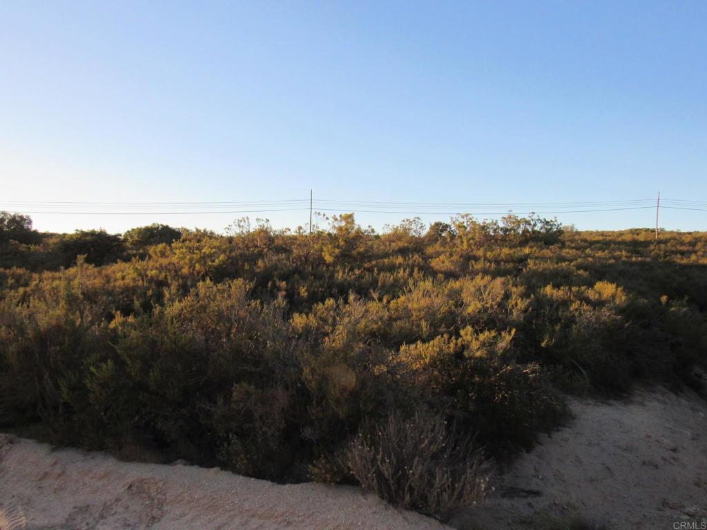 109.57 ACRES Highway 94