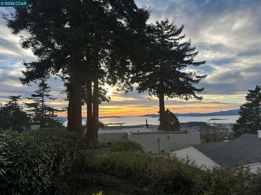 BERKELEY HILLS - Residential