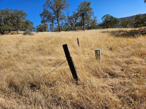 Photo of 5640 Blue Oak Ridge Road, Mariposa, CA 95338 (MLS # MP25194565)