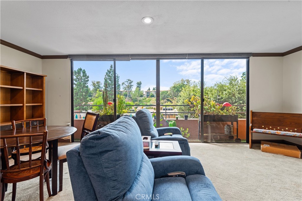24055 W Paseo Del Lago 253