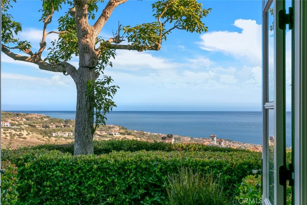18 Sail Vista, Newport Coast CA 92657 - Photo 28