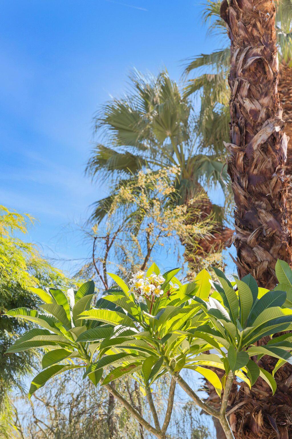 Magnesia Falls Cove - Residential