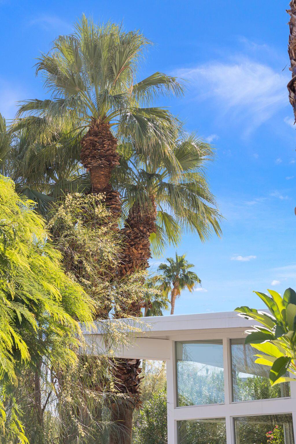 Magnesia Falls Cove - Residential