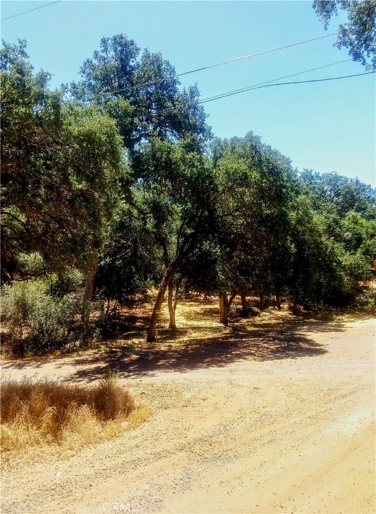 Build your dream home or investment property in the heart of Clearlake! located in a peaceful neighborhood just minutes from the water's edge, this generous 0.57-acre lot offers a prime opportunity to create your ideal lifestyle in one of Lake County most scenic regions.
Tucked beneath mature native oak trees and surrounded by natural beauty, the parcel offers a sense of privacy while still enjoying close proximity to local amenities, parks, hiking, schools, and the recreational heaven of Clear Lake-California's largest freshwater lake, perfect for boating, fishing, and year-round fun. zoned R-1: Potential for single-family home with accessory structure, peaceful settings with paved road frontage room for gardens, RV parking, or outdoor living spaces. Electricity, sewer, water nearby. convenient access to Highway 53, local shops, restaurant, healthcare facilities, and lakeside recreation, don't miss the chance to own this sizeable lot in a growing area with small-town charm and natural beauty.