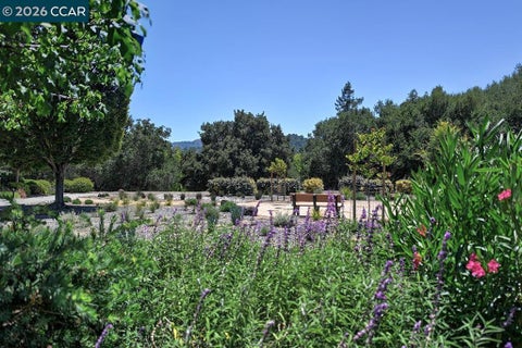 Photo of 2025 Golden Rain Rd RD #7, Walnut Creek, CA 94595 (MLS # 41139836)