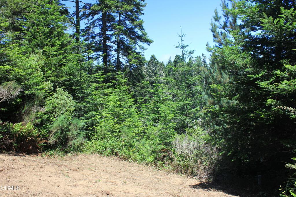 44068 Ocean Vista Court