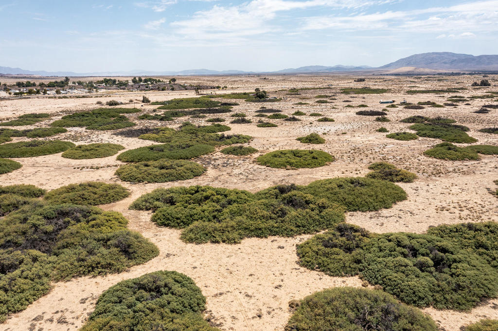 Not Applicable-1 - Land