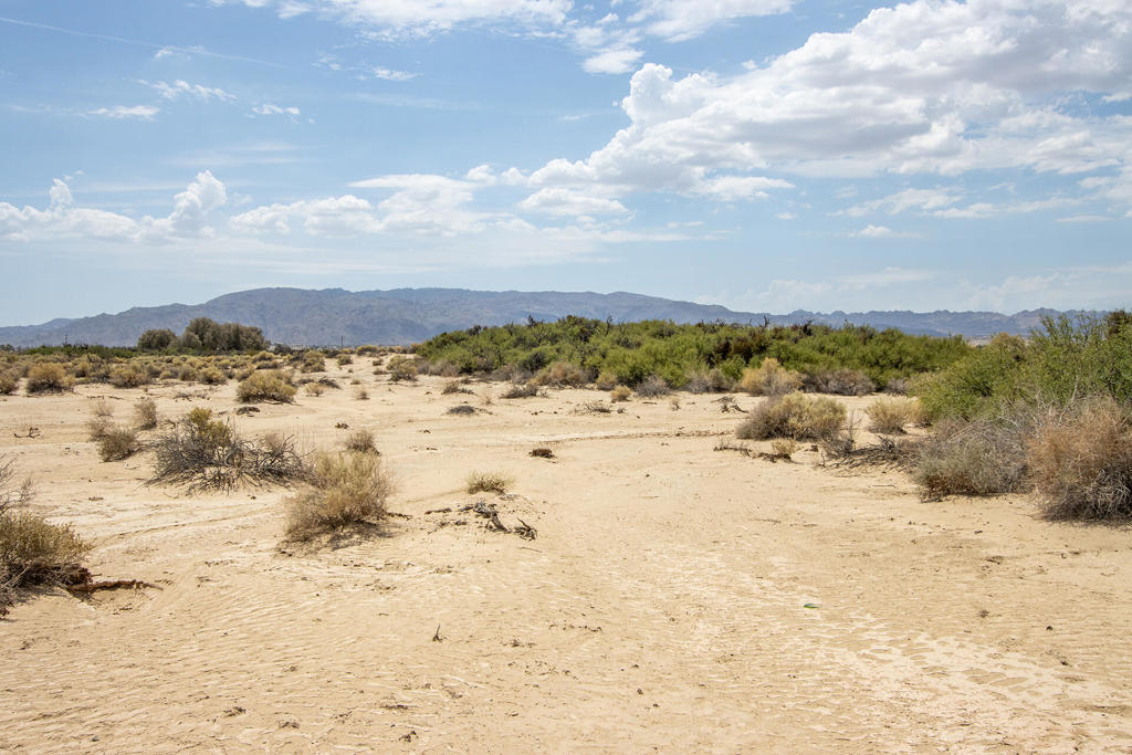 Not Applicable-1 - Land