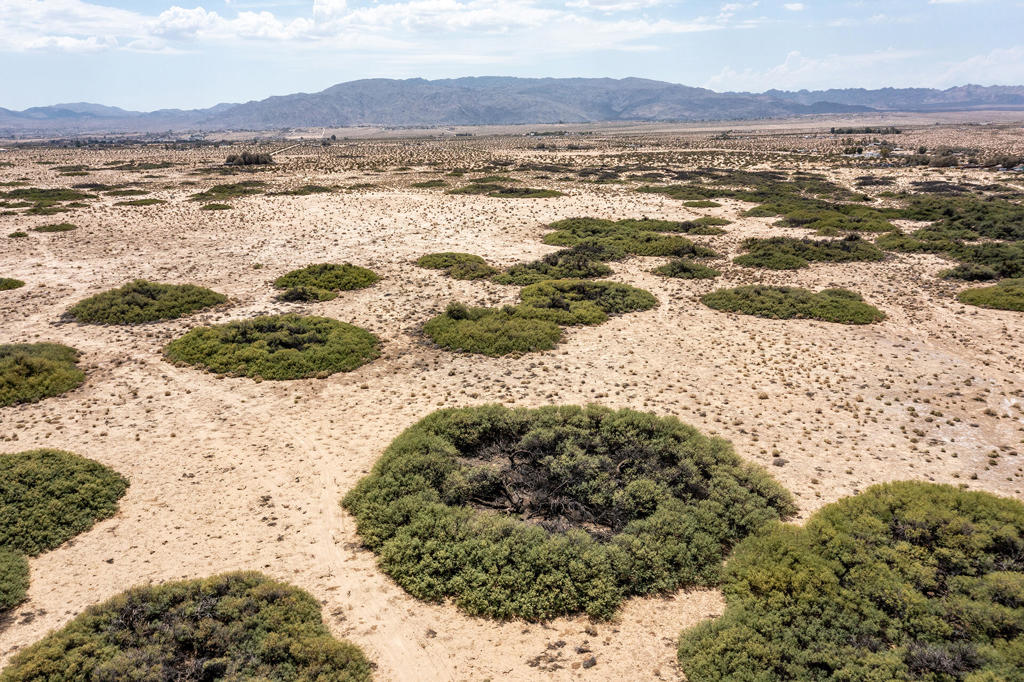 Not Applicable-1 - Land