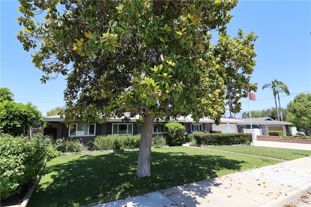 233 PHLOX Avenue