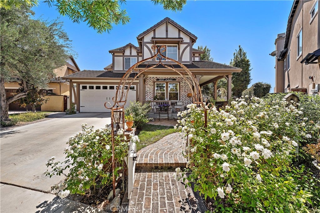 18 Blue Spruce