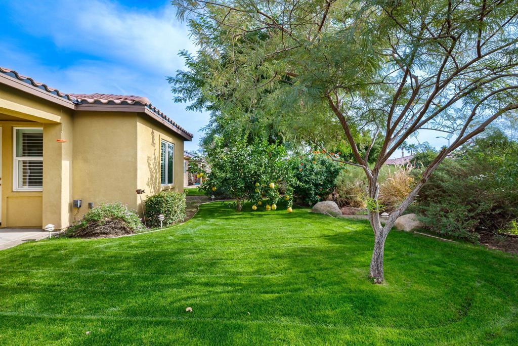 Indian Palms (31432) - Residential