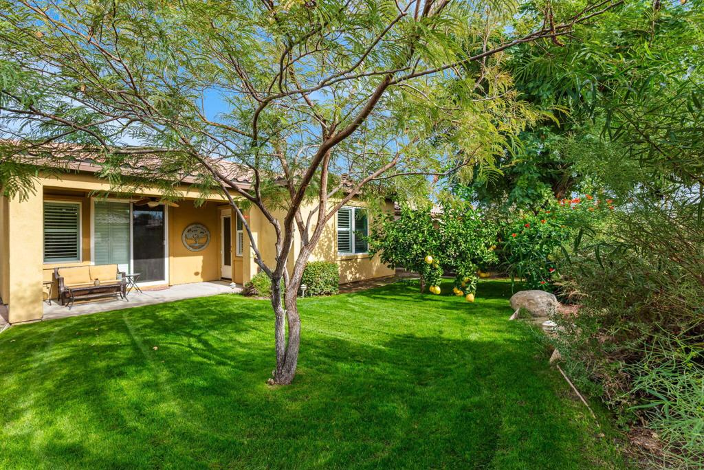 Indian Palms (31432) - Residential