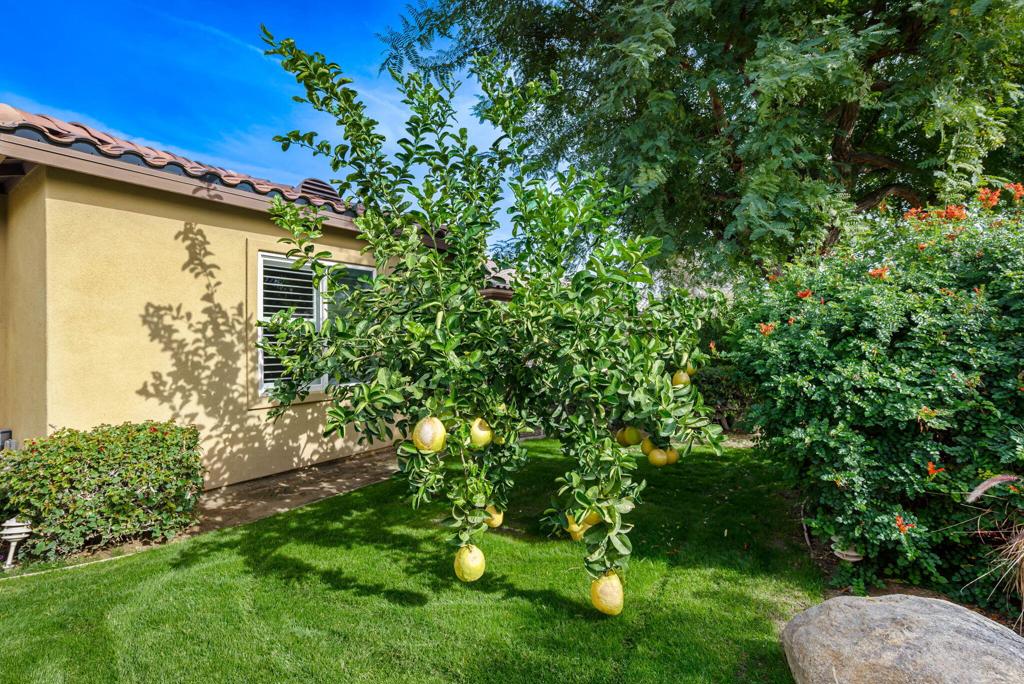 Indian Palms (31432) - Residential