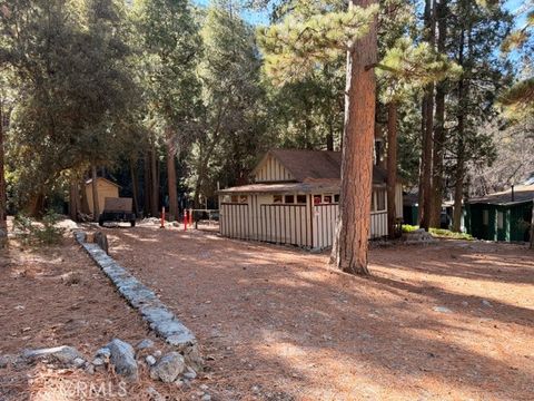 Photo of 9202 Wood Rd, Forest Falls, CA 92339 (MLS # IG26007510)