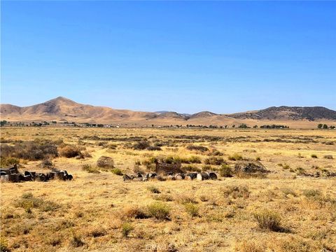 Photo of 0 Belmont, California Valley, CA 93453 (MLS # NS26011732)