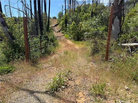 Photo of 1833 Hunter Point Dr RD, Upper Lake, CA 95485 (MLS # LC26112708)