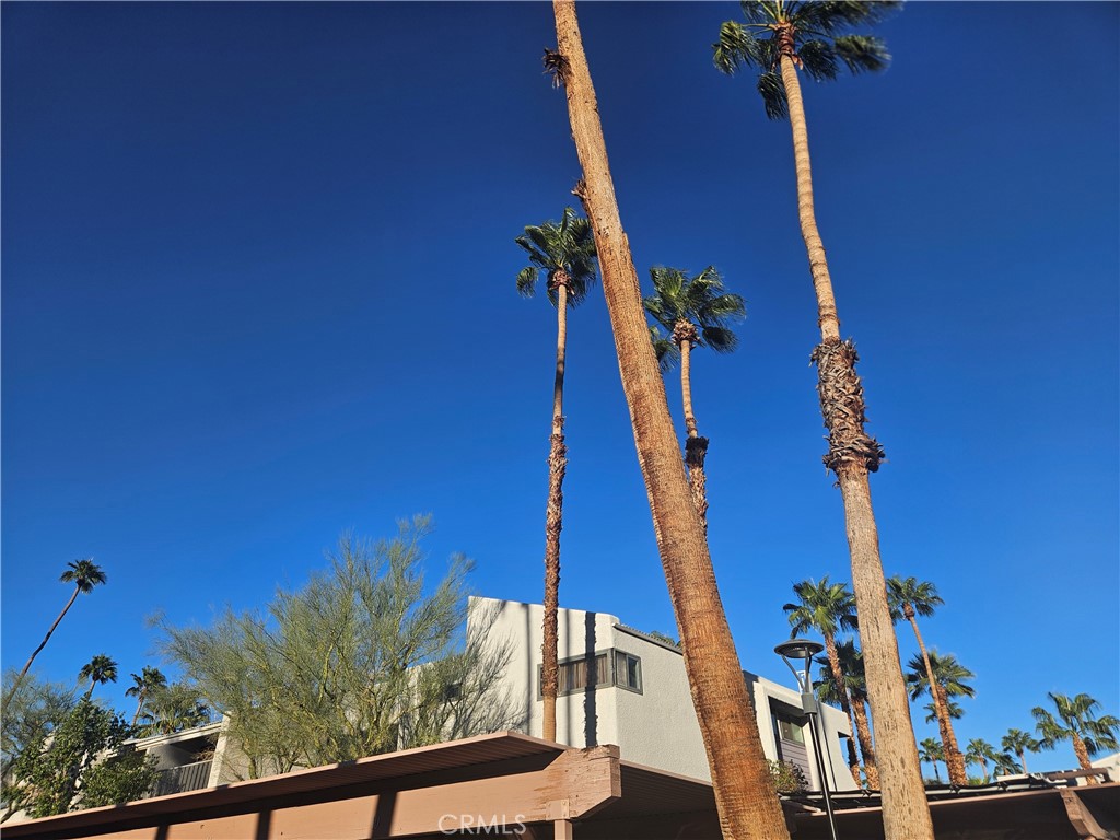 The Palms - Residential