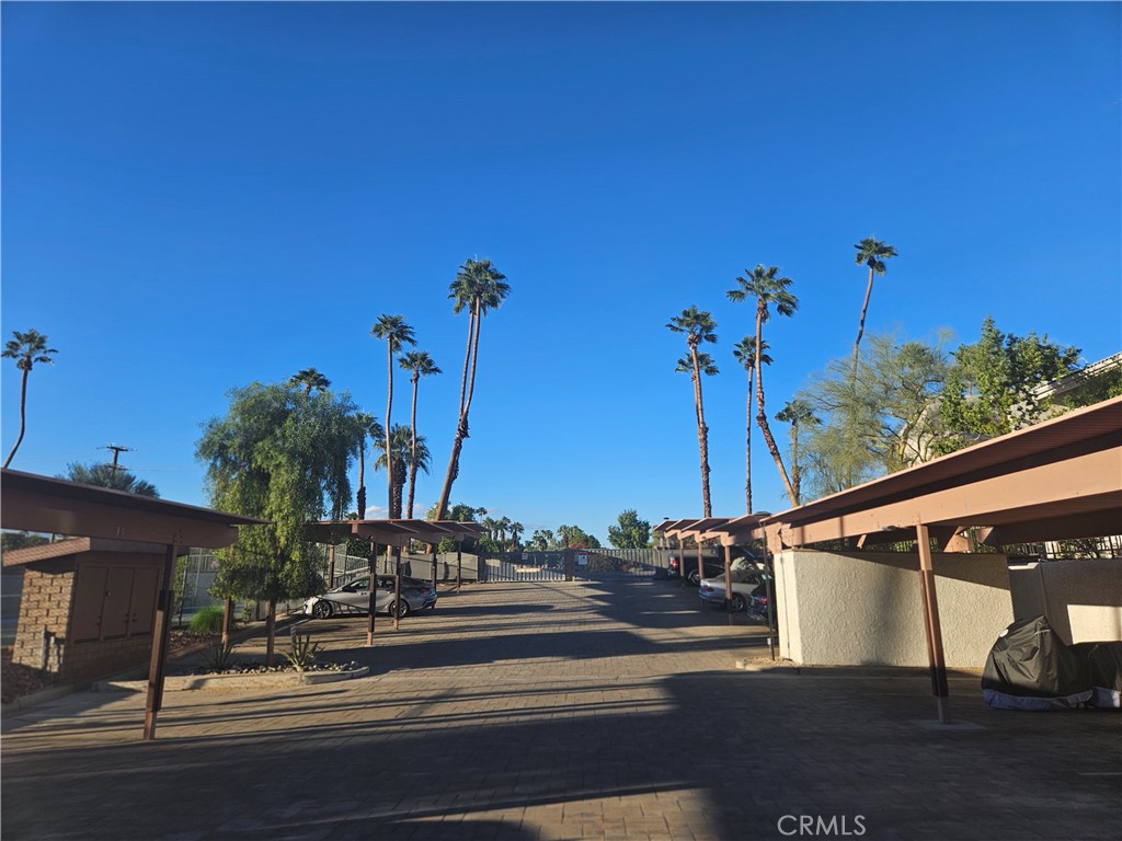 The Palms - Residential