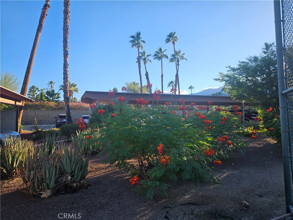 The Palms - Residential