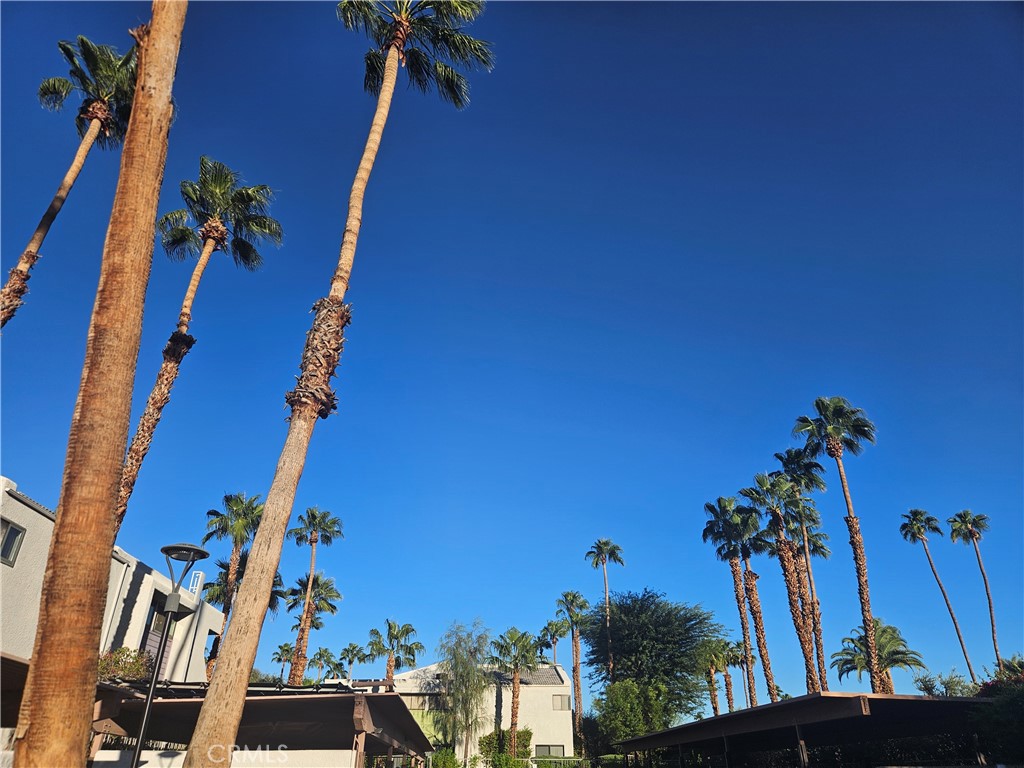 The Palms - Residential