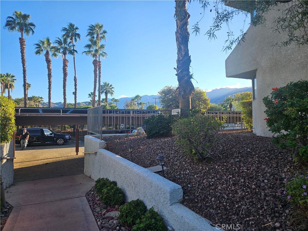 The Palms - Residential