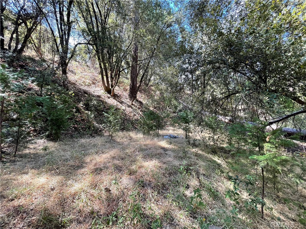 Bring your creativity to these 2 wooded lots with the east fork of the Chowchilla River passing through them! These lots are not for the faint of heart, but with some imagination, this may present a unique development opportunity. These properties are accessed via a county maintained road, and feature a power pole at the roadside. Ponderosa Basin Mutual Water Company services the subdivision, so once construction is underway, water can be accessed, so no need to drill or maintain a well. The properties are very steep and wooded, but there is a reward once the hike to the bottom is complete - a nice flat area next to the Chowchilla River is there for your tranquil enjoyment. Come prepared with your hiking gear and unique vision to these high elevation properties - they could be diamonds in the rough!