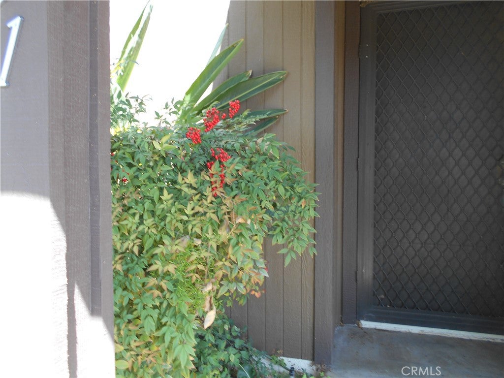 1251 Bonnie Glen