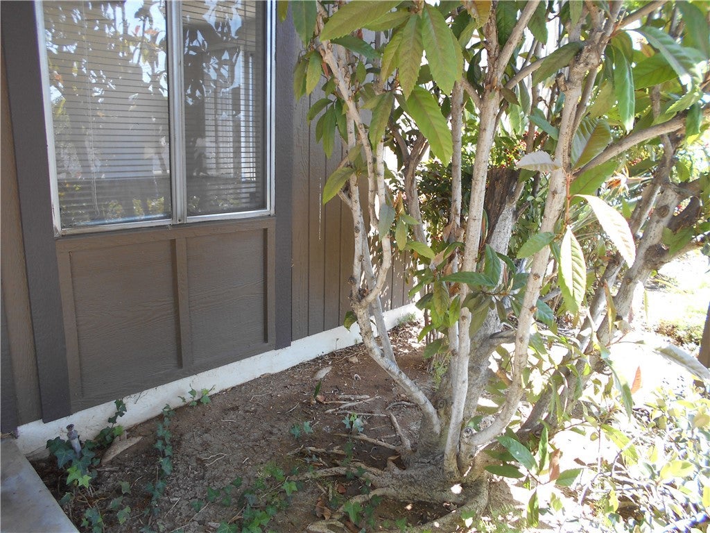 1251 Bonnie Glen