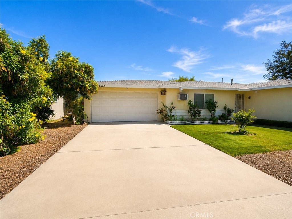24655 Eucalyptus