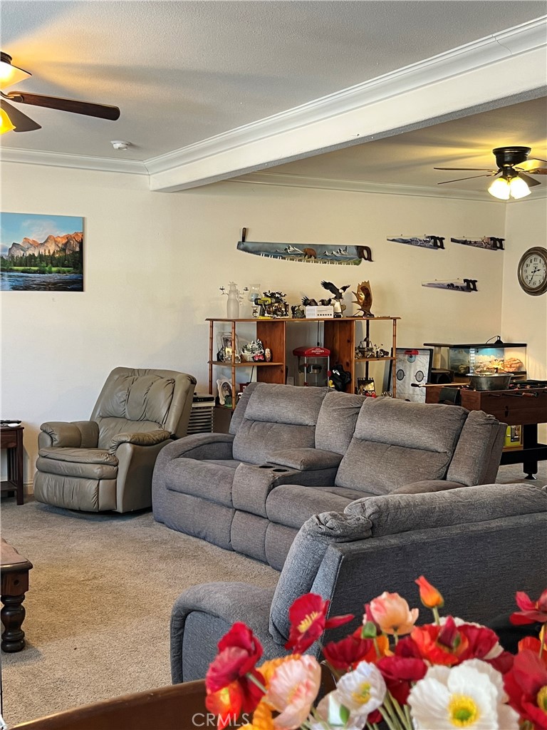 37180 Mistletoe Road