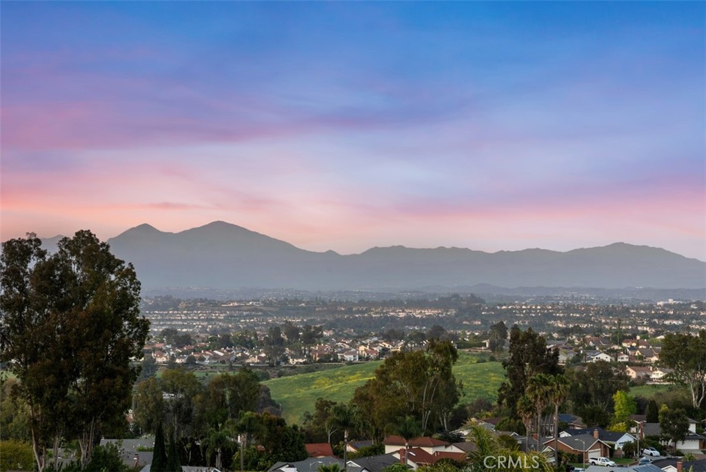 29592 Quigley Drive