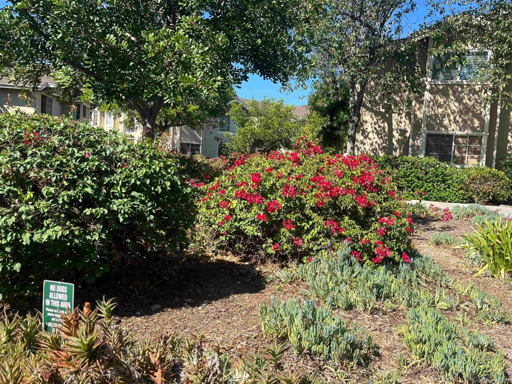 Lemon Grove - Residential