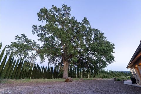 Tiny photo for 5250 Vineyard Dr, Paso Robles, CA 93446 (MLS # NS26054593)