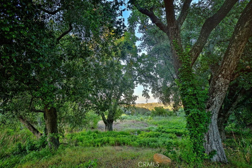 42050 Avenida Escala