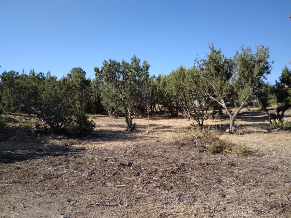 112 Agua Dulce Canyon