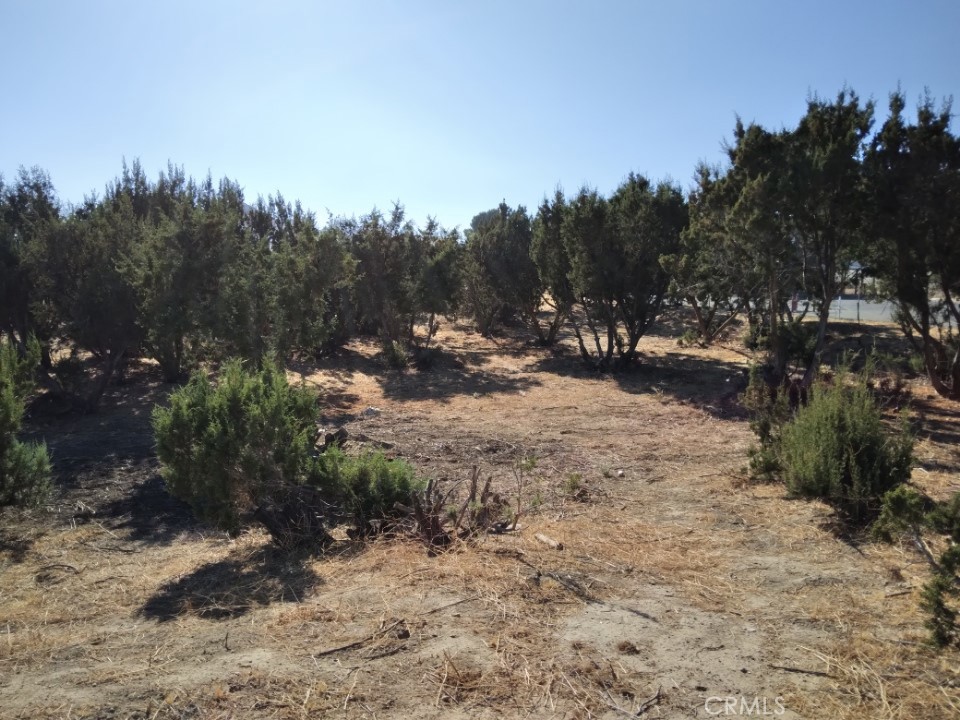 112 Agua Dulce Canyon