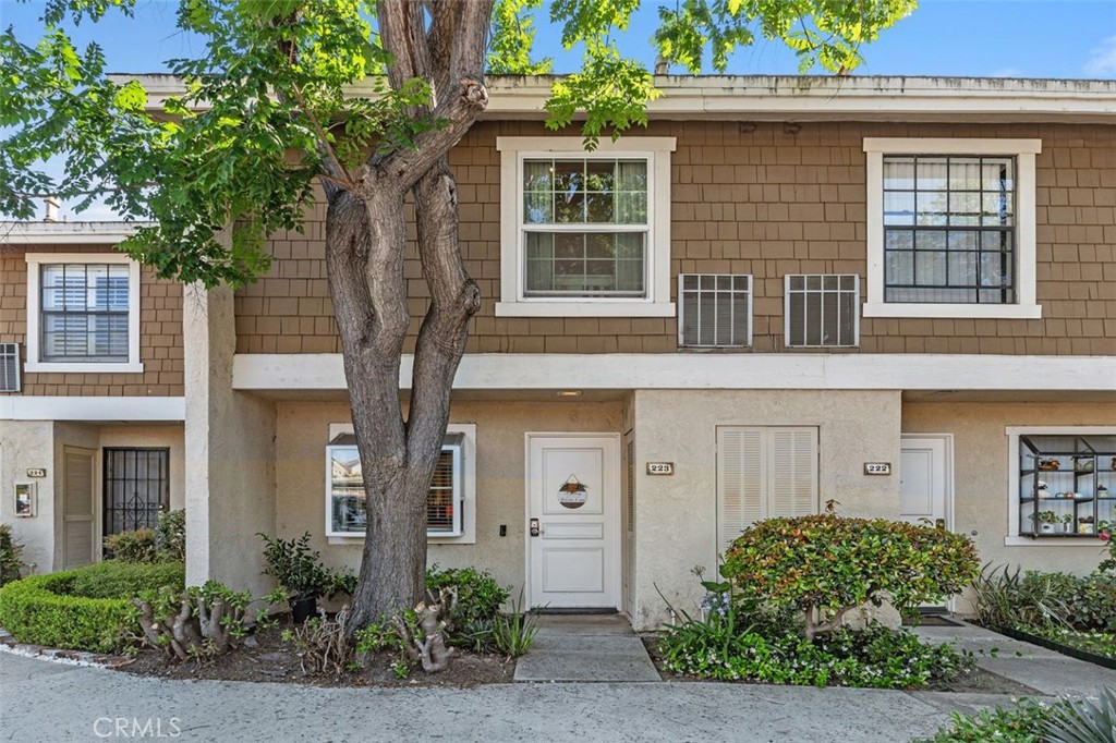 223 Pineview