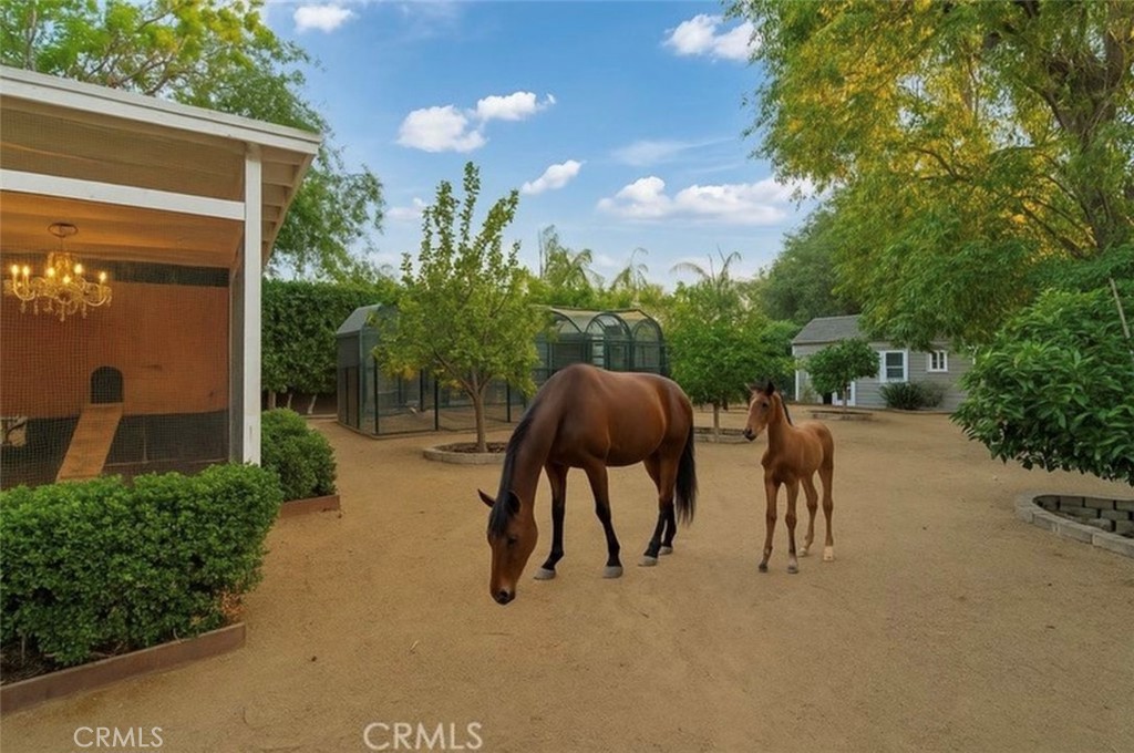 Properties 2 23134 Collins Street