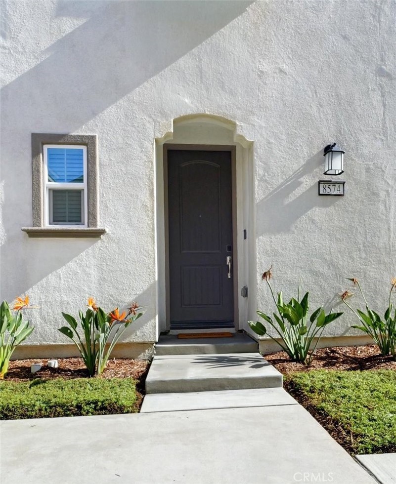 8574 Exposition Street