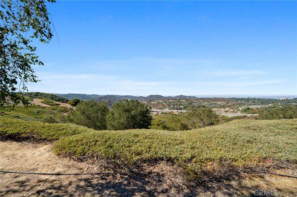 35 Hollyleaf, Aliso Viejo CA 92656 - Photo 35