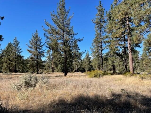 Beautiful Garner Valley lot with sunny meadows and abundant towering pine trees. Enjoy all four seasons in this wonderful community. This prime lot is perfect to build a dream home. Plenty of room for a guest house and extensive equestrian facilities etc.Please submit all offers.