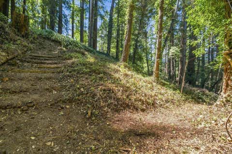 Photo of 1130 Blue Ridge Drive, Boulder Creek, CA 95006 (MLS # ML82057152)