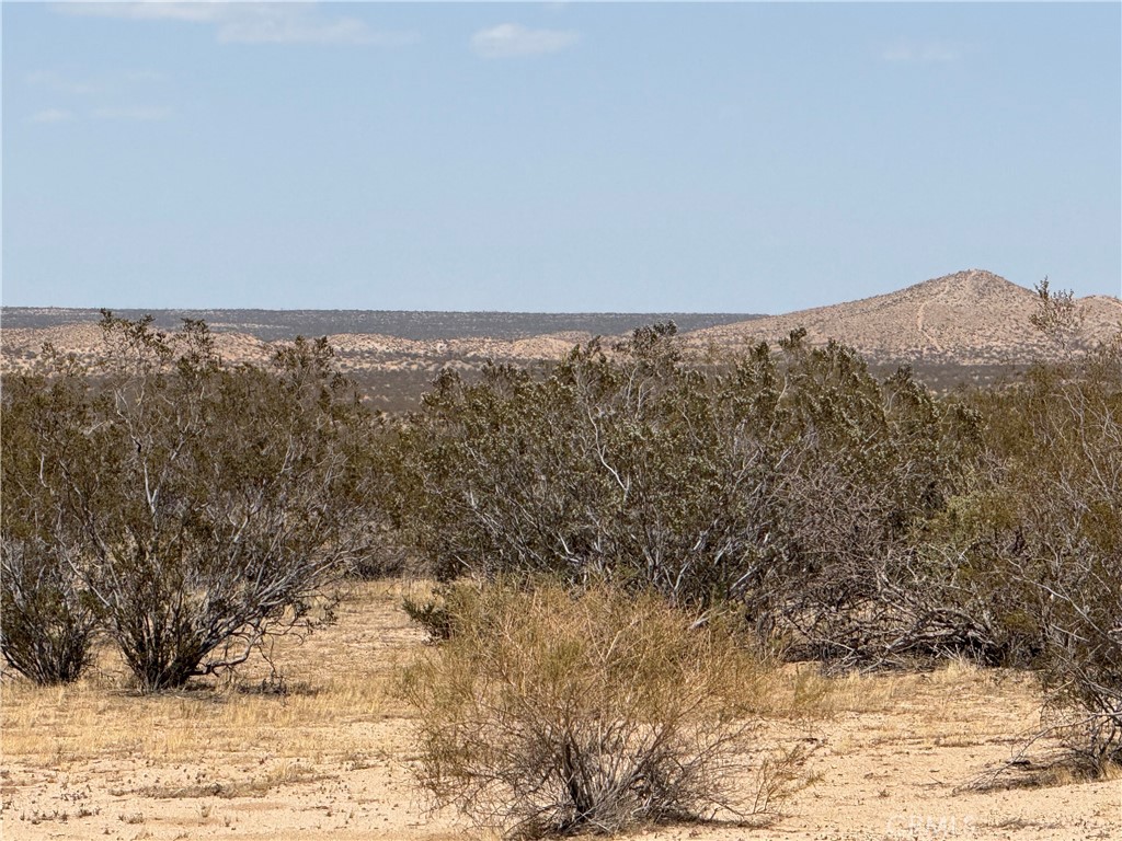 Endless possibilities await on this 2.68-acre agricultural vacant lot! Perfect for your desert getaway, this land offers the ideal space to build your dream ranch, start a farm, or simply enjoy wide open skies and peaceful surroundings. Whether you're looking for off-grid living, agricultural use, or a weekend retreat, this property delivers flexibility and freedom. Buyers to verify zoning and usage with the county.