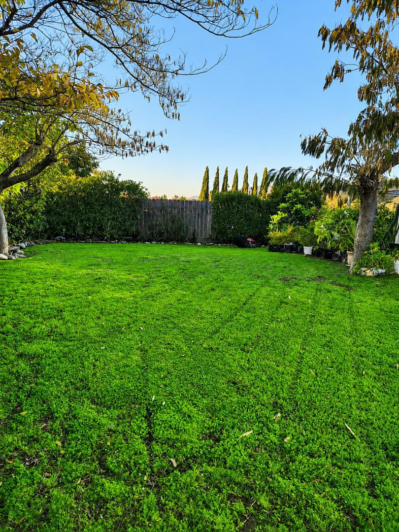 1565 Sierra Creek Way